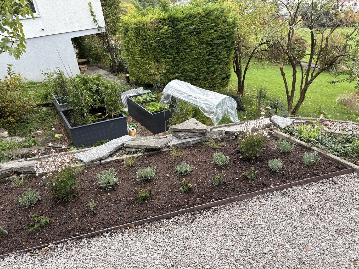 Frisch bepflanzte Beete neben einem Kiesweg