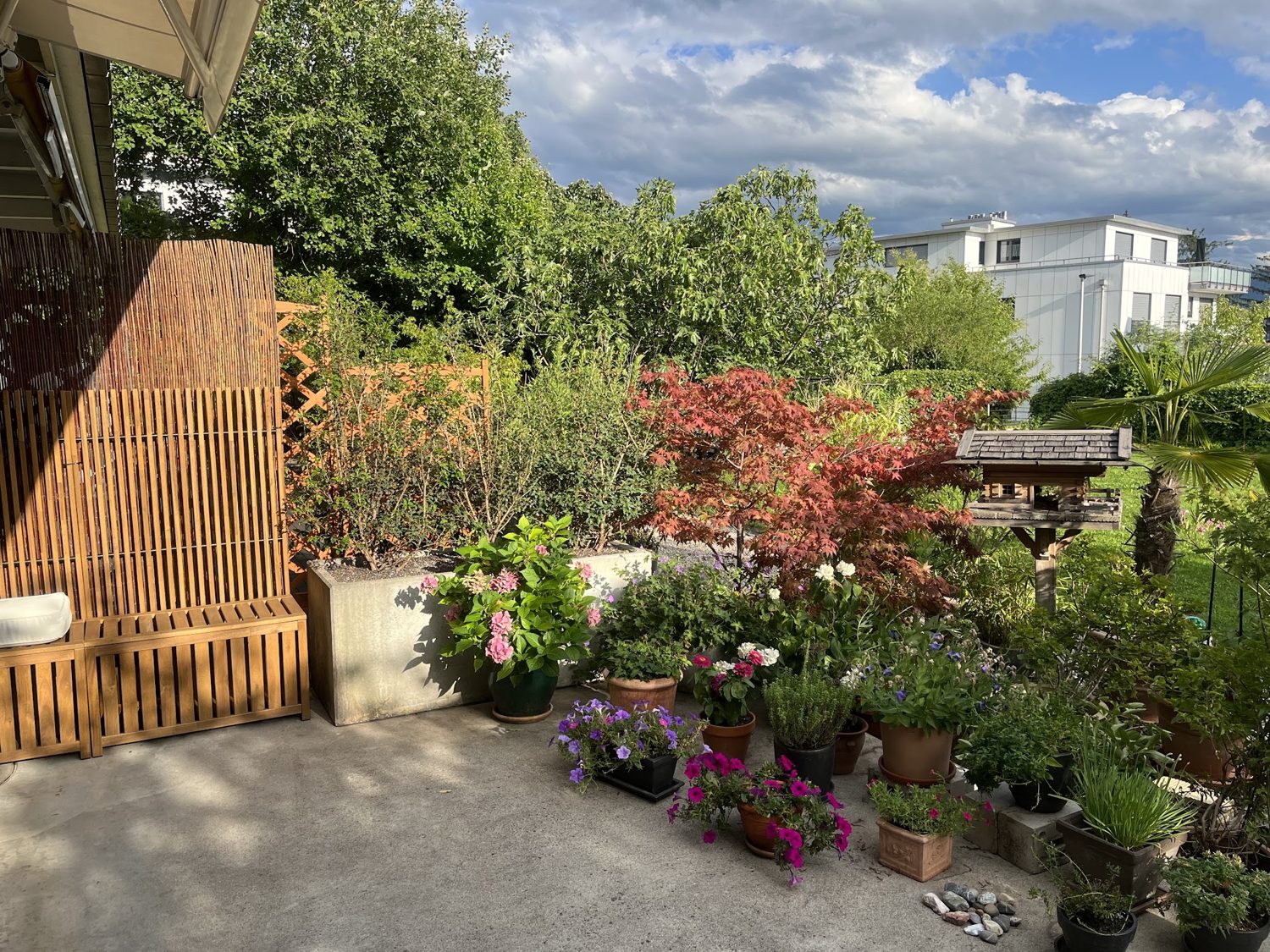 Terrasse mit Pflanzen und Sichtschutz aus Holz