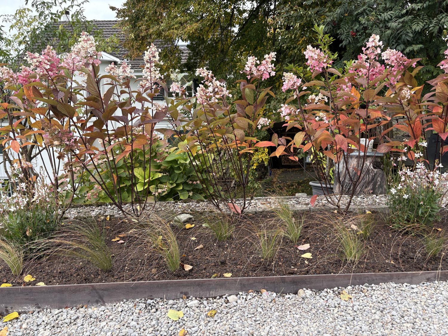 Herbstlich blühende Staudenbeete